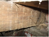 Woodworm infested floor joists causing irreversible damage