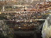 Severe condensation within the sub-floor caused by inadequate ventilation