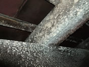Severe mould growth on timbers with roof void