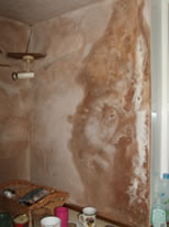 Severely deteriorated and salting plaster caused by penetrative damp