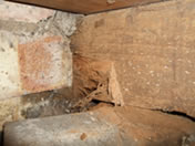 Wet rot decay and weevil infestation to joist end in contact with damp walls