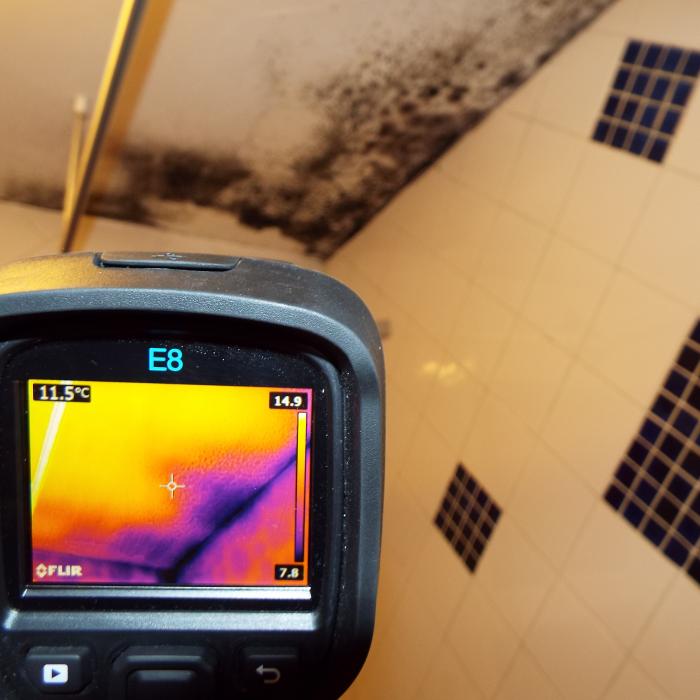 

Cold ceilings caused by the absence of insulation and cold air intrusion providing ventilation into the roof space makes the ceilings vulnerable to mould issues.

