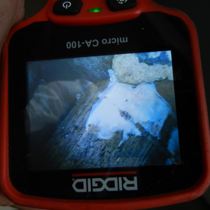 Another one of our fantastic flexible endoscope cameras is used to inspect within a hidden sub-floor void revealing wet rot fungal decay to the joist ends where in contact with the external walls.  Absence of evidence does not necessarily mean evidence of absence and where our surveyors  suspect there may be hidden issues we use an array of specialist investigation cameras to inspect hidden cavities and voids so even the concealed is revealed.  
