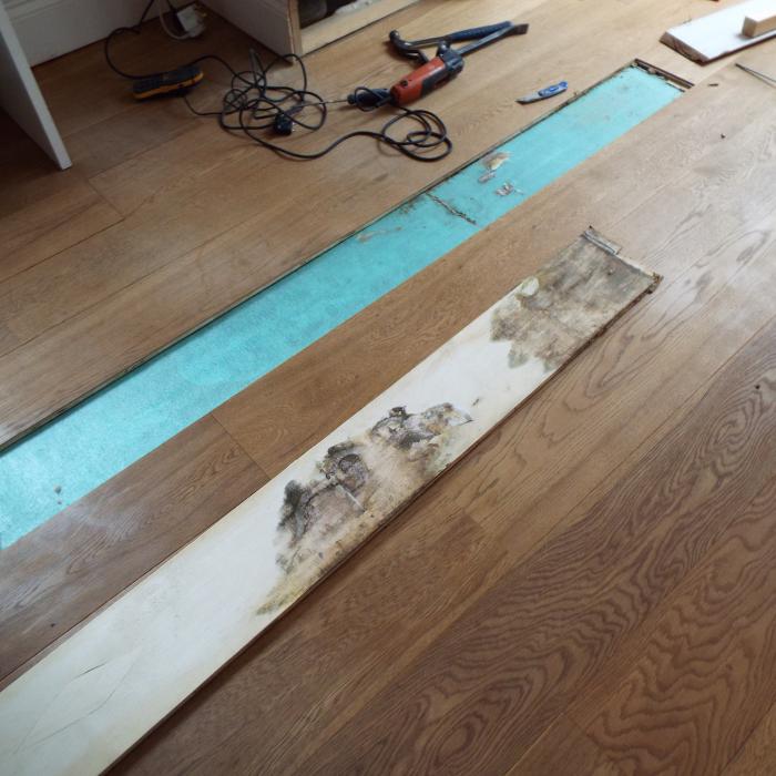 Luckily our surveyors carry a wide range of diagnostic and inspection tools which often allows us to make disruptive investigations with minimal damage. In this picture we carefully cut out a section of the engineered oak floor covering to expose Dry Rot mycelium growth within the built up floor and a huge Dry Rot fruiting body within the sub-floor.
 
 